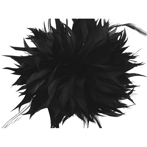 6.5 Inch Feather Applique Black