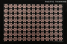 Load image into Gallery viewer, 9.25 Inch Rhinestone Sheet Black/Pink
