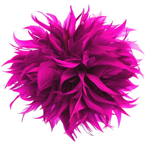 6.5 Inch Feather Applique Hot Pink