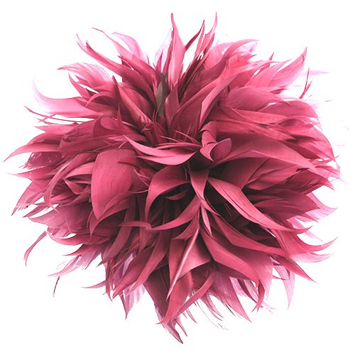 6.5 Inch Feather Applique Pink