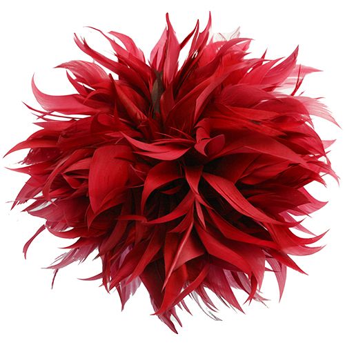 6.5 Inch Feather Applique Red