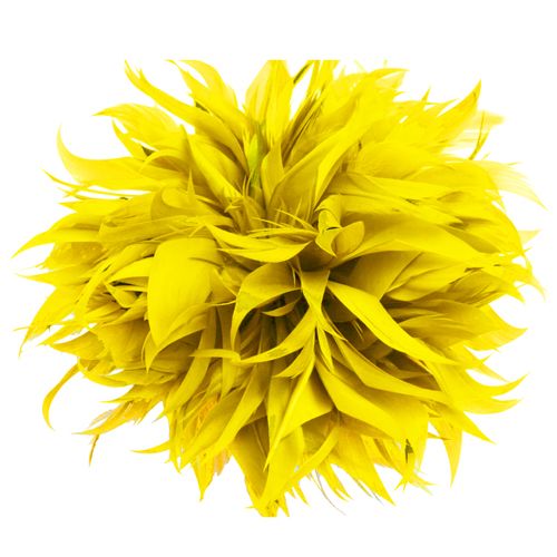 6.5 Inch Feather Applique Yellow