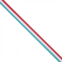 Load image into Gallery viewer, 6mm Flag Patterned Elastic
